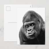 Cartes Pour Fêtes Annuelles Gorille noire blanche (Devant / Derrière)