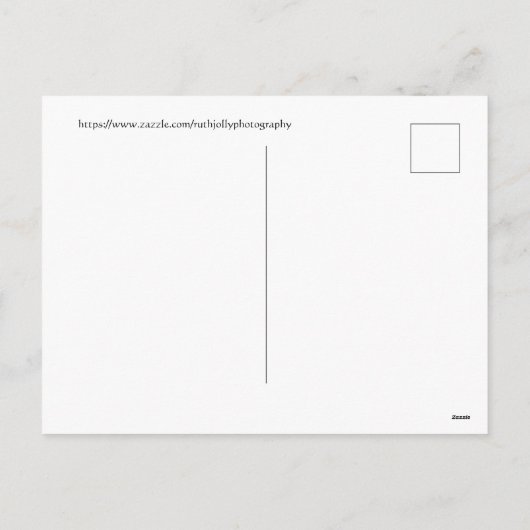 Cartes Pour Fêtes Annuelles Grâce d'un Aigrette Vœux de fêtes (Dos)