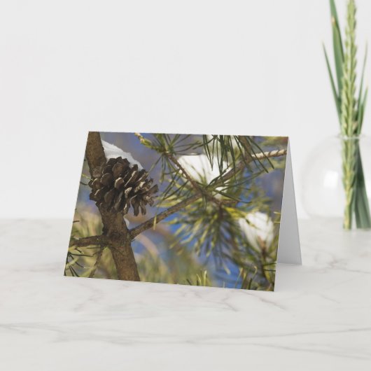 Cartes Pour Fêtes Annuelles Graines de l'arbre (Devant)