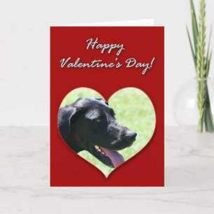 Cartes Pour Fêtes Annuelles Grand Dane Valentines Day