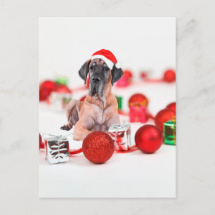 Cartes Pour Fêtes Annuelles Great Dane