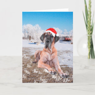 Cartes Pour Fêtes Annuelles Great Dane