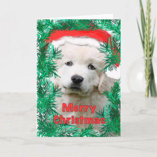 Cartes Pour Fêtes Annuelles Great Pyrenees
