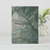 Cartes Pour Fêtes Annuelles Green spruce tree close-up, Christmas esthetic (Debout devant)