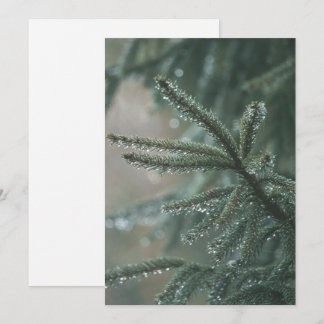 Cartes Pour Fêtes Annuelles Green spruce tree close-up, Christmas esthetic
