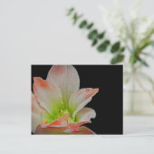 Cartes Pour Fêtes Annuelles Grenouille de Valentines (Debout devant)