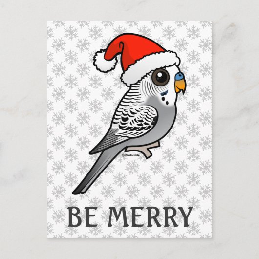Cartes Pour Fêtes Annuelles Grey Budgie Santa Claus (Devant)