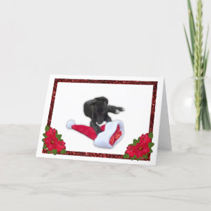 Cartes Pour Fêtes Annuelles Greyhound Chippon avec le chapeau de Noël