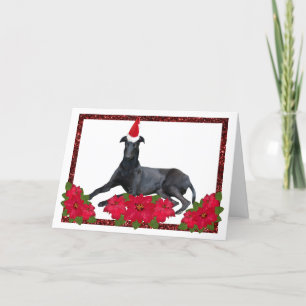 Cartes Pour Fêtes Annuelles Greyhound Santa Hat Noël Poinsettia