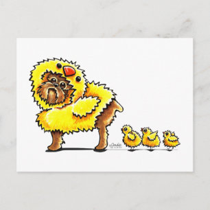 Cartes Pour Fêtes Annuelles Griffon Chick Easter