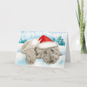 Cartes Pour Fêtes Annuelles Griffonnage de Noël