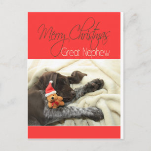 Cartes Pour Fêtes Annuelles Grizzly brillant Grand neveu Joyeux Noël