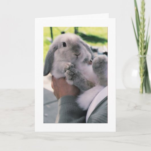 Cartes Pour Fêtes Annuelles gros (Devant)