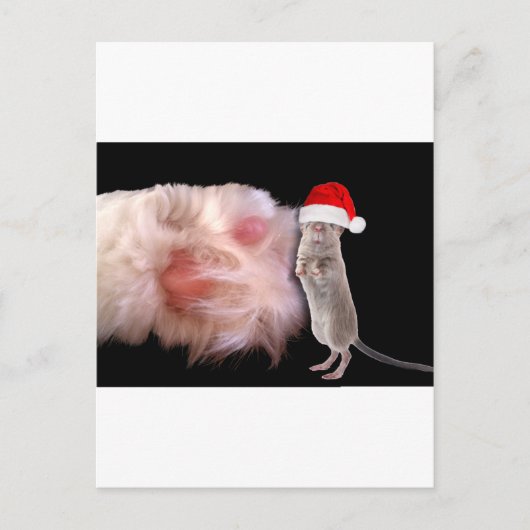 Cartes Pour Fêtes Annuelles Gros chat Paw Petite souris de Noël (Devant)