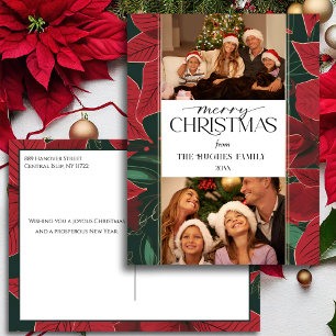 Cartes Pour Fêtes Annuelles Gros Noël Poinsettia Botanique 2-Photo