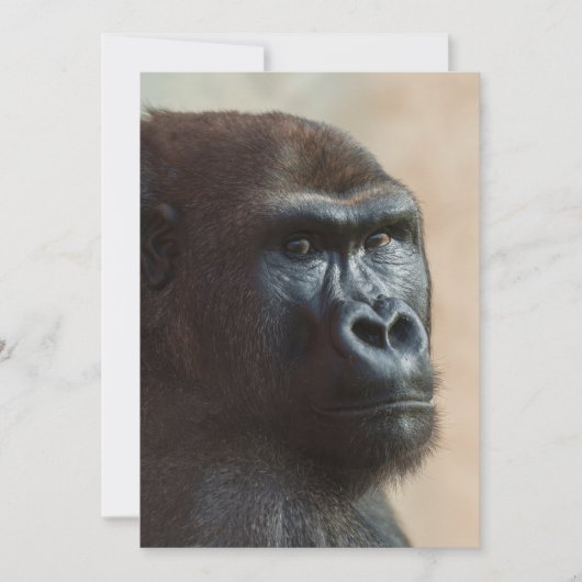 Cartes Pour Fêtes Annuelles Gros plan de Gorilla Lope (Devant)
