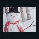 Cartes Pour Fêtes Annuelles Gros plan d'un bonhomme de neige avec écharpe et h<br><div class="desc">Gros plan d'un bonhomme de neige portant une écharpe et un haut-de-forme noir debout dans une forêt de bouleaux enneigés,  parc Russian Jack Springs,  Anchorage,  centre-sud de l'Alaska,  hiver | Design Pics / superstock.com | US02 DPI0887</div>