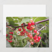 Cartes Pour Fêtes Annuelles Groseille rouge (Devant / Derrière)