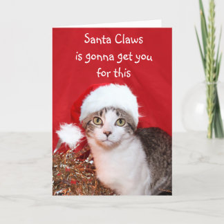 Cartes Pour Fêtes Annuelles Grouchy Christmas cat