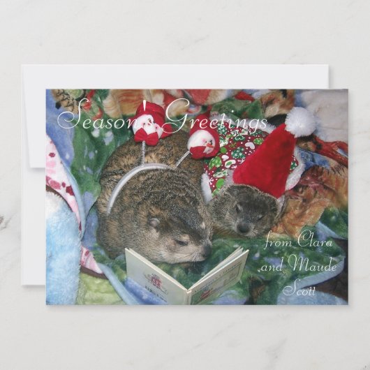 Cartes Pour Fêtes Annuelles Groundhogs Clara et salutation des vacances de (Devant)