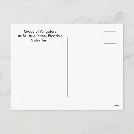 Cartes Pour Fêtes Annuelles Groupe d'alligators dans une ferme d'alligators (Dos)