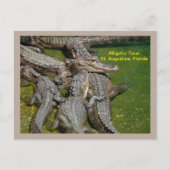 Cartes Pour Fêtes Annuelles Groupe d'alligators dans une ferme d'alligators (Devant)