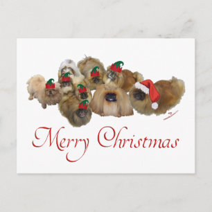 Cartes Pour Fêtes Annuelles Groupe de Pékinois Noël