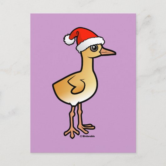 Cartes Pour Fêtes Annuelles Grue bébé Père Noël (Devant)