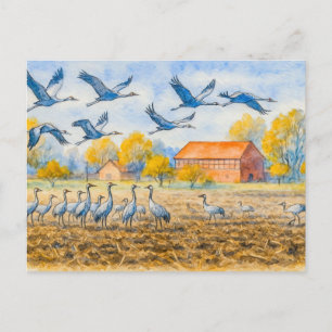 Cartes Pour Fêtes Annuelles Grue dans un champ rhinow aquarell havelland