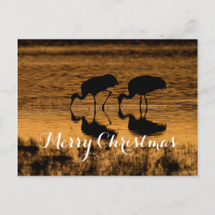 Cartes Pour Fêtes Annuelles Grues Sandhill, Joyeux Noël