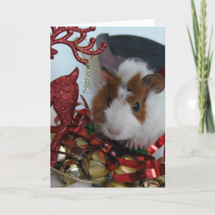 Cartes Pour Fêtes Annuelles Guinea Pig Christmas