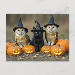 Cartes Pour Fêtes Annuelles Halloween Chat noir et Chouette mignonne