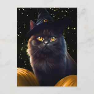 Cartes Pour Fêtes Annuelles Halloween Chat Noir Sorcière Casquette Et Citrouil
