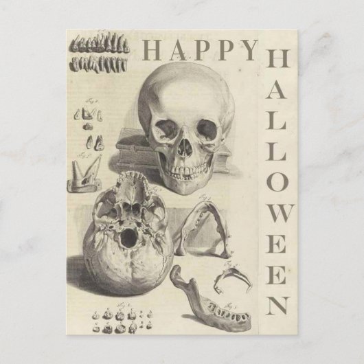 Cartes Pour Fêtes Annuelles Halloween vintage (Devant)