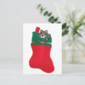 Cartes Pour Fêtes Annuelles Hamster Christmas stocking (Debout devant)