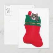 Cartes Pour Fêtes Annuelles Hamster Christmas stocking (Devant / Derrière)
