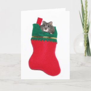 Cartes Pour Fêtes Annuelles Hamster dans le bas de Noël