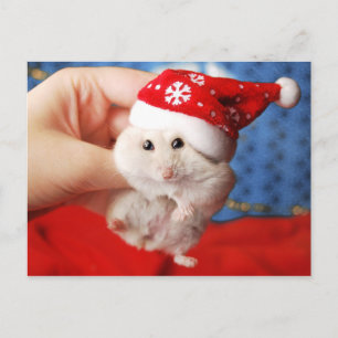 Cartes Pour Fêtes Annuelles Hamster nain mignon Tutku avec le casquette du