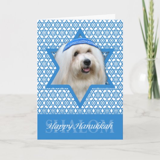 Cartes Pour Fêtes Annuelles Hanukkah Star of David - Coton de Tulear (Devant)