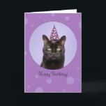 Cartes Pour Fêtes Annuelles Happy Birthday For Anyone Funny Cat in Party Hat<br><div class="desc">With circles floating all around and a big one with a funny black cat in a party hat,  this design is the purr-fect way to say happy Birthday to anyone!</div>