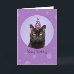 Cartes Pour Fêtes Annuelles Happy Birthday For Anyone Funny Cat in Party Hat<br><div class="desc">With circles floating all around and a big one with a funny black cat in a party hat,  this design is the purr-fect way to say happy Birthday to anyone!</div>
