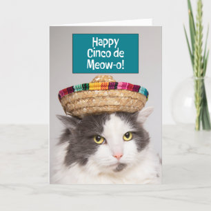 Cartes Pour Fêtes Annuelles Happy Cinco De Mayo Drôle Chat dans l'Humour Sombr