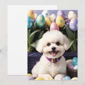 Cartes Pour Fêtes Annuelles Happy Easter Bichon Frise (Devant / Derrière)