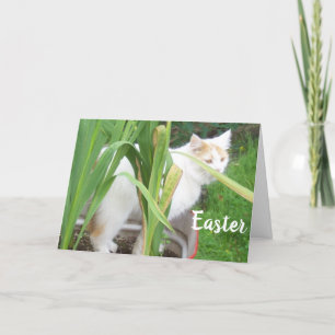 Cartes Pour Fêtes Annuelles HAPPY EASTER - HEUREUX PRINTEMPS à "VOUS"