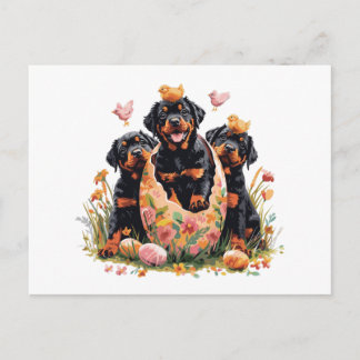 Cartes Pour Fêtes Annuelles Happy Easter Rottweiler Dogs