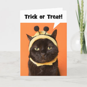 Cartes Pour Fêtes Annuelles Happy Halloween Cat in Bee Costume Humor 