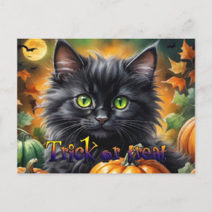 Cartes Pour Fêtes Annuelles Happy Halloween Chat avec citrouille