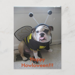 Cartes Pour Fêtes Annuelles Happy Halloween, English Bulldog