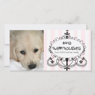Cartes Pour Fêtes Annuelles Happy Holidays Chandelier Dog Photo