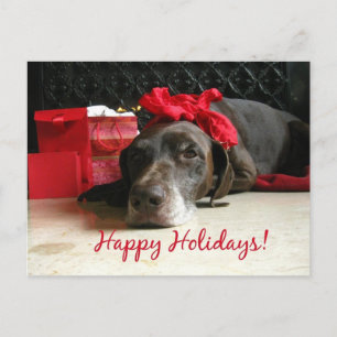 Cartes Pour Fêtes Annuelles Happy Holidays german shorthred pointer